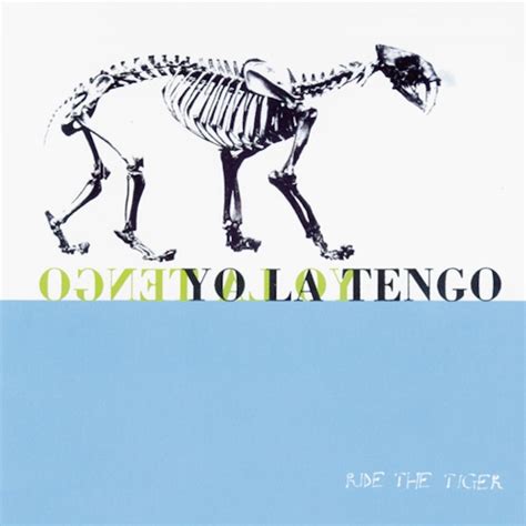 Yo La Tengo Albums From Worst To Best