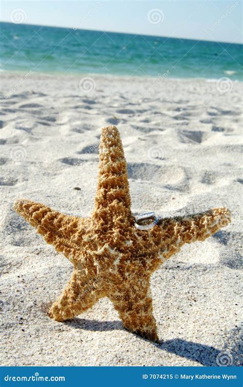 Wedding Rings On Starfish Stock Image Image Of Rings 7074215