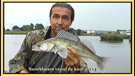 Snoekbaarzen Vanaf De Kant 2023 Vissen Op Snoekbaars Met Shads 69