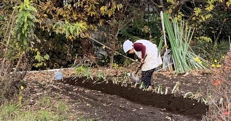 カスリのモンペに姉さんかぶり鍬で畑仕事、御年98歳！｜ふうか134