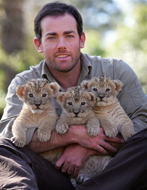 Lion Keeper Ben Britton Raising A Pride Of Cubs In His Lounge Room