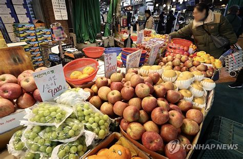 사과·배 등 주요 과일 고공 행진 전망 연합뉴스