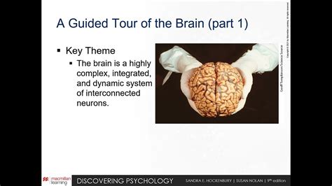 Chapter 2 Neuroscience Behavior Part 2 YouTube