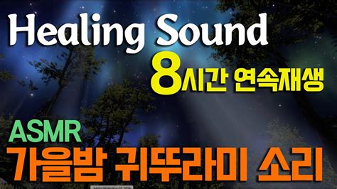 Asmr 잠이 솔솔 오는 편안한 귀뚜라미 소리 8시간 연속재생 Sleep Healing 백색소음 풀벌레 귀뚜라미