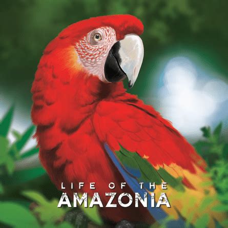 Life Of The Amazonia Board Game BoardGameGeek