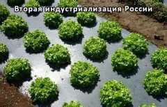 Пленка для мульчирования биоразлагаемая