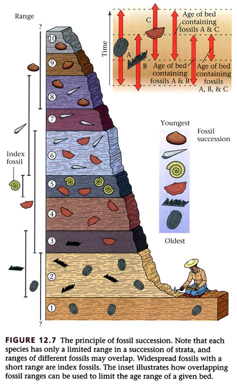 Stratigraphy Chart