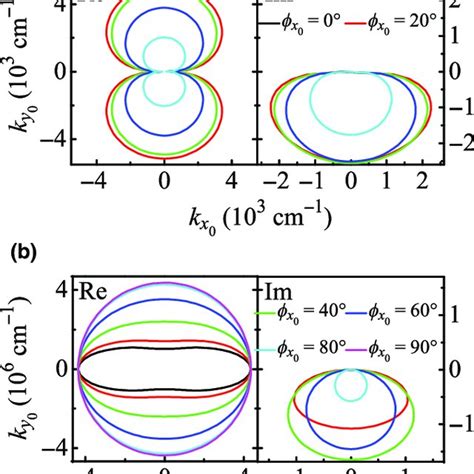 The Isofrequency Contours Of The Two Damped Dirac Plasmons A K L And