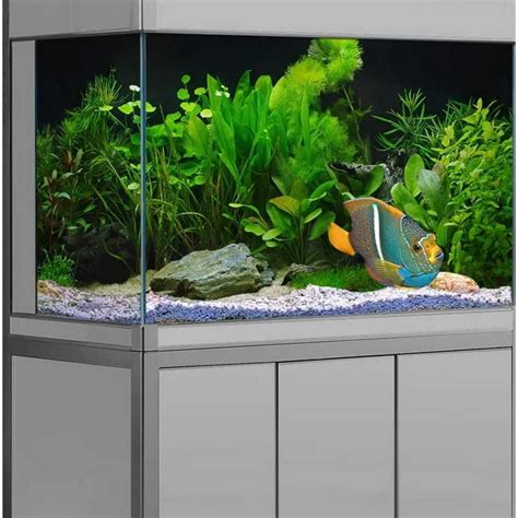 Aquatic Plant Aquarium Background, Green Seagrass Lake River Bed Fish Tank Background Cloth ...