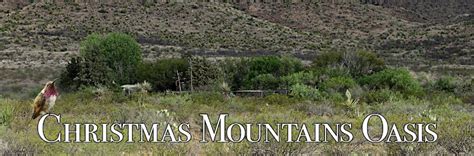 Christmas Mountains Oasis Quail Nesting Early