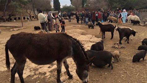 La Bassa Del Vendrell Fa El Seu Pessebre Vivent