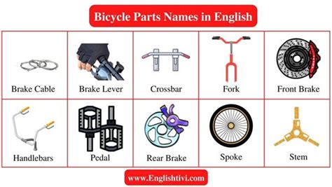 Bike Parts Names Diagram