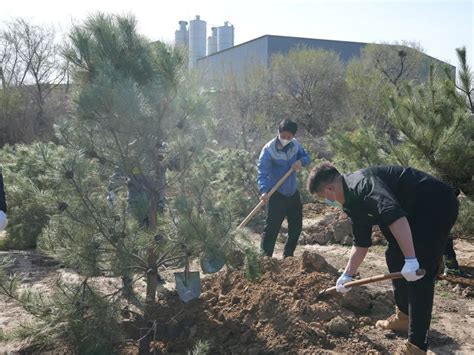 怀来县四大班子领导带头参加春季义务植树活动澎湃号·政务澎湃新闻 The Paper