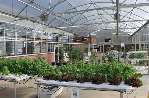 Innovative Hydroponic Supply Hydroponics Store Knoxville Tn