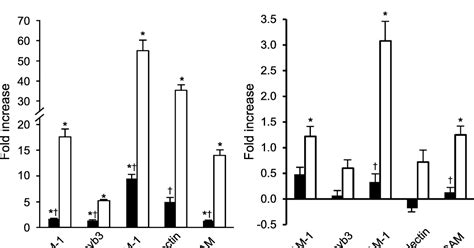 Neuromics Sex Differences On The Behavior Of Human Brain Microvascular Endothelial Cells Hbmecs