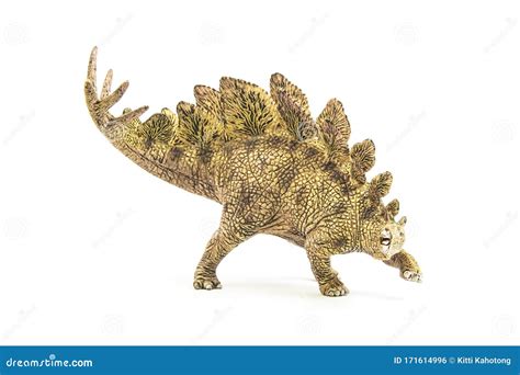 Stegosaurus Dinosaur On White Background Stock Photo Image Of Wild