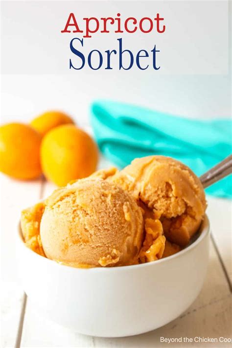 Apricot Sorbet Recipe In Sorbet Recipes Apricot Recipes