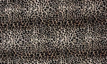 animal print animal prints photo  fanpop