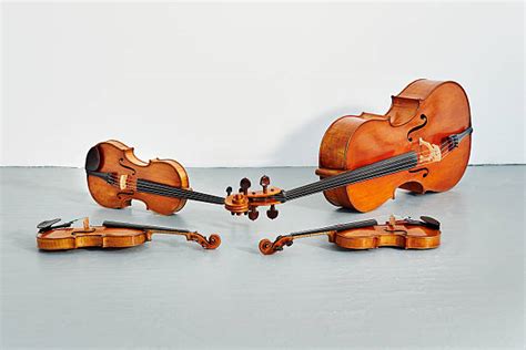 String Quartet Stock Photos, Pictures & Royalty-Free Images - iStock