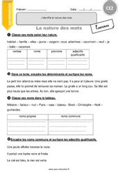 Nature et fonction CE2 Exercice évaluation révision leçon pdf à