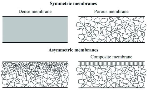 Schematic Of Two Membrane Structures The Figure Reproduced With