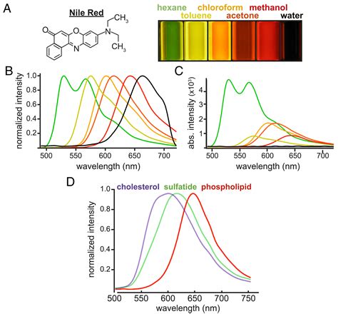 Nile Red fluorescence spectroscopy reports early physicochemical ...