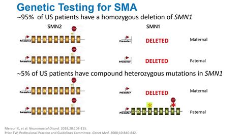 Genetic Testing For Sma Youtube