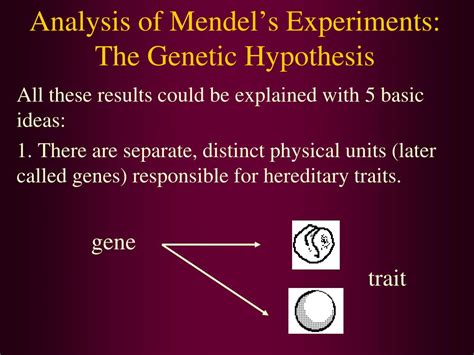 Ppt Mendels Principles Of Heredity Powerpoint Presentation Free