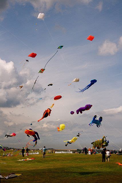 Whitley Bay Kite flying competition | Go fly a kite, Kite flying, Kite