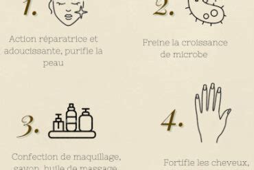 Les Astuces Pour Sublimer Vos Plats Avec L Huile Essentielle De Citron