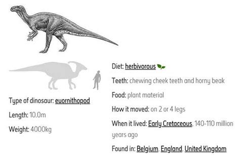 Top 10 Herbivorous Dinosaurs Ever Lived On Earth My Dinosaurs