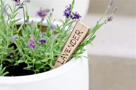 Easy Plant Markers & Labels You Can Make • The Garden Glove