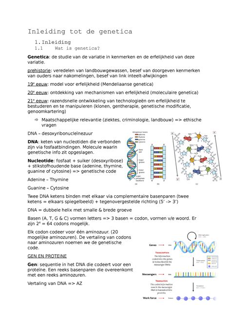 Samenvatting Genetica Inleiding Tot De Genetica 1 1 Wat Is Genetica