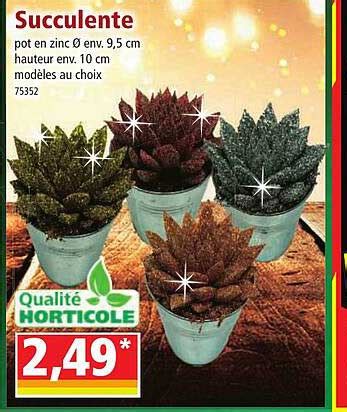 Promo Succulente Chez Norma ICatalogue Fr