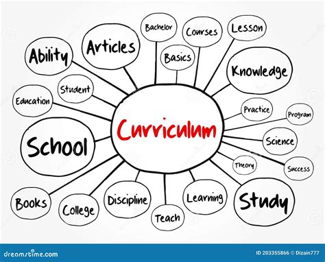 Curriculum Mind Map Flowchart Stock Illustration Illustration Of