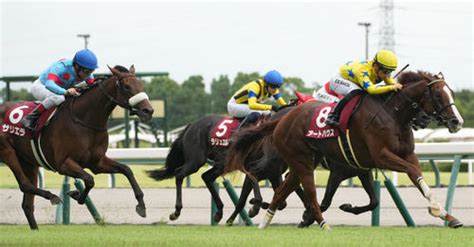 良血サリエラ2着で秋華賞へ 直線で末脚発揮 ルメール「冷静に走ってくれた」／ローズs 競馬 日刊スポーツ