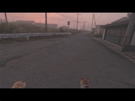 Silent Hill : r/shiba