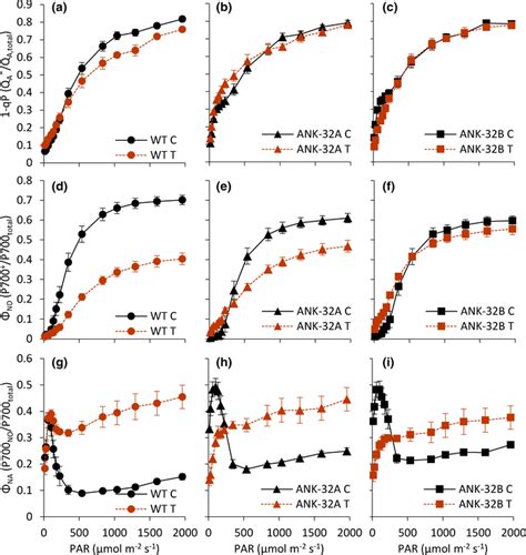 Light Response Curves Of Parameters Derived From Chlorophyll