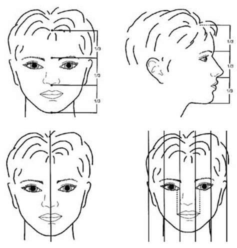 Crescimento E Desenvolvimento Maxilo Facial Tratado De Cl Nica Pedi Trica