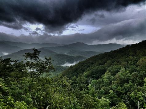 Paused During A Hike In The Great Smoky Mountains To Capture This