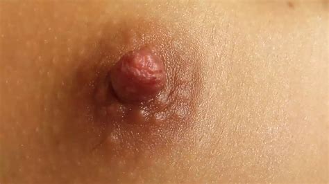 Iris Solo Passion In English Blowjob Porn XHamster