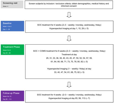 Bioengineering Free Full Text Concurrent Optical And Magnetic