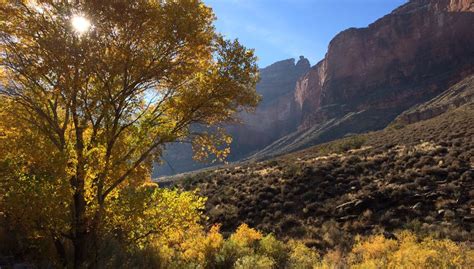 Havasupai Gardens Formerly Indian Garden Campground Grand Canyon Az