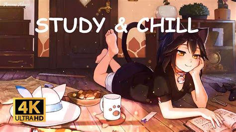 Study Chill Calm Your Mind Rainy Lofi Hip Hop Chill Beats To