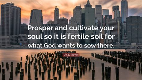 Cindy Trimm Quote Prosper And Cultivate Your Soul So It Is Fertile