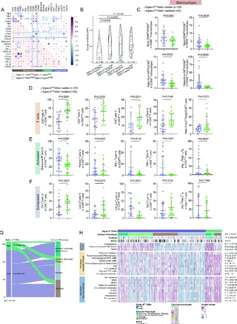 Identification Of The Immunosuppressive Microenvironment With Siglec