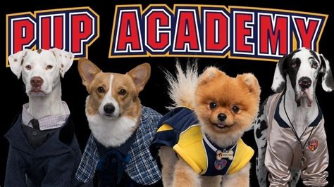 Pup Academy season 3 petition! | Fandom