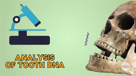 The Definitive Proof Ancient Greek Dna Continuity Youtube