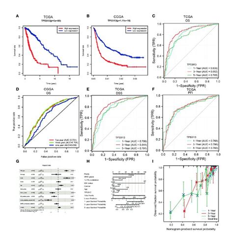 A Kaplan Meier Curve For Overall Survival Os Of Glioma Patients Download Scientific Diagram