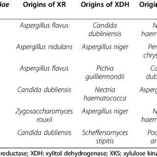 Heatmap Of Metabolic Flux Distributions Of S Cerevisiae Strains The